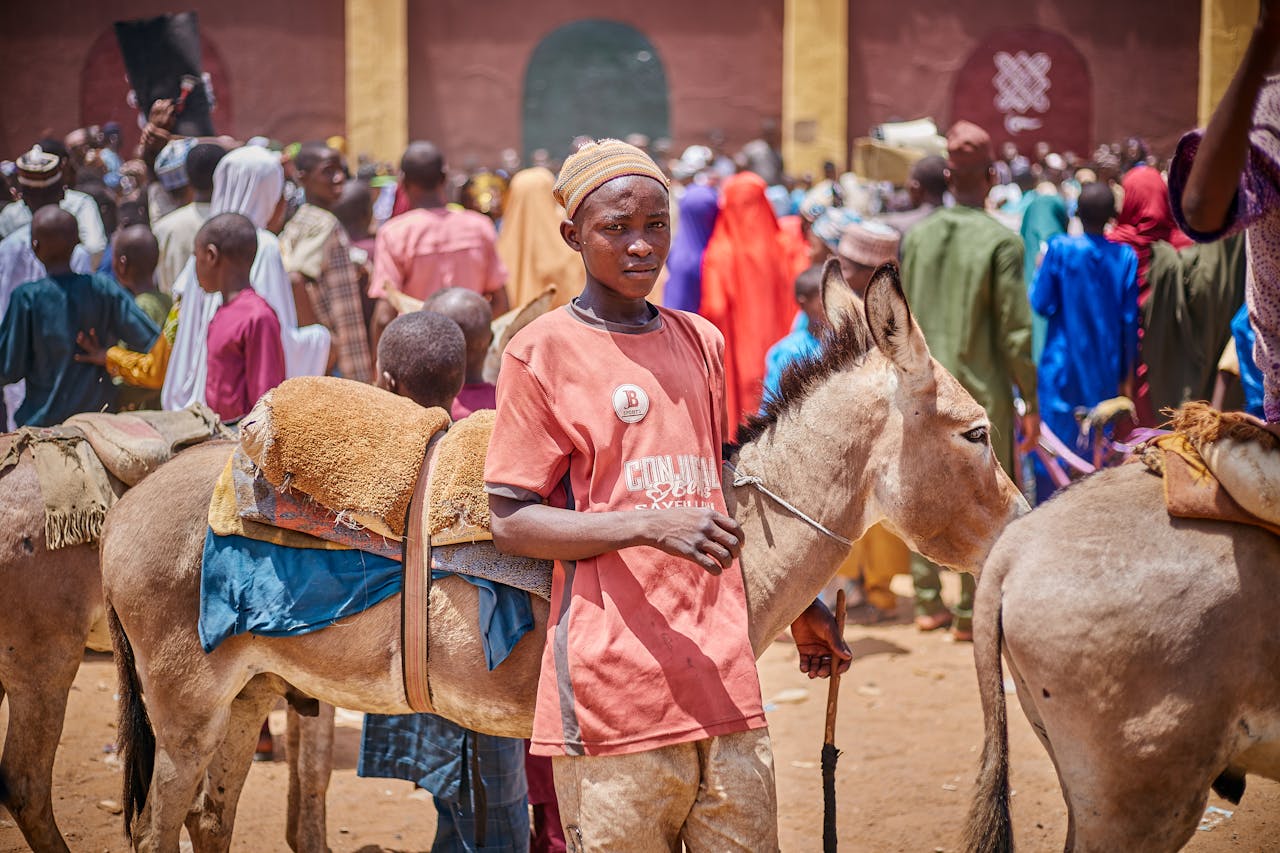 Home Young boy with donkey stands out in vibrant marketplace scene, showcasing local culture.